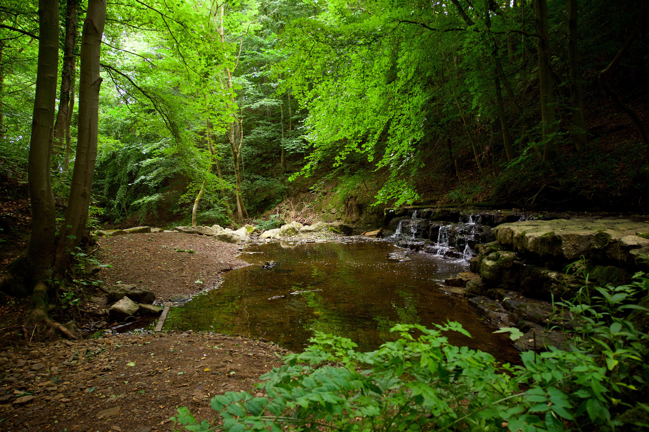 Witton Castle Country Park, Durham, UK DL14 0DE Your Parks
