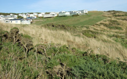 Rushey Hill (Island Meadow Parks)